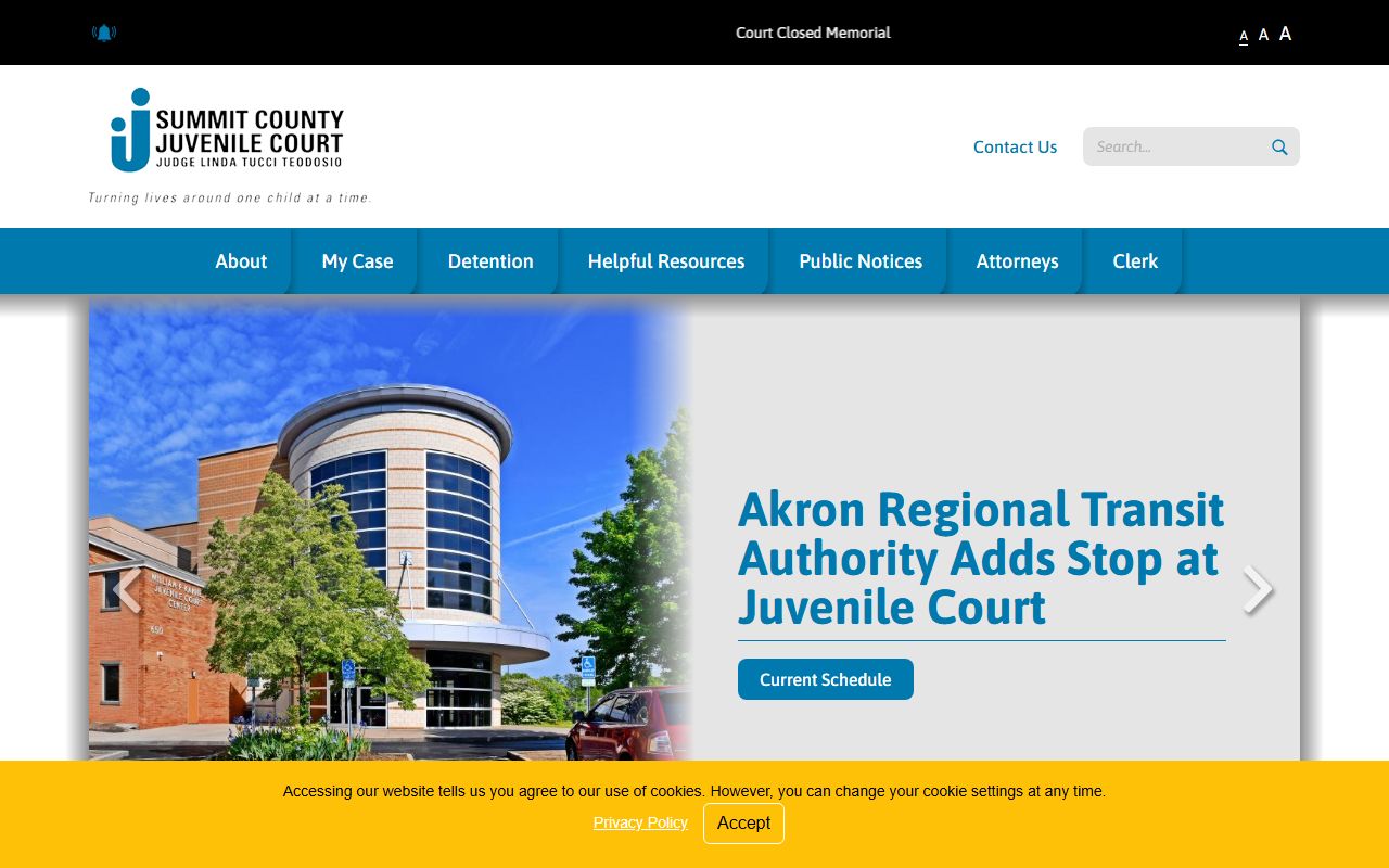 Summit County Juvenile Court records and reform docket site