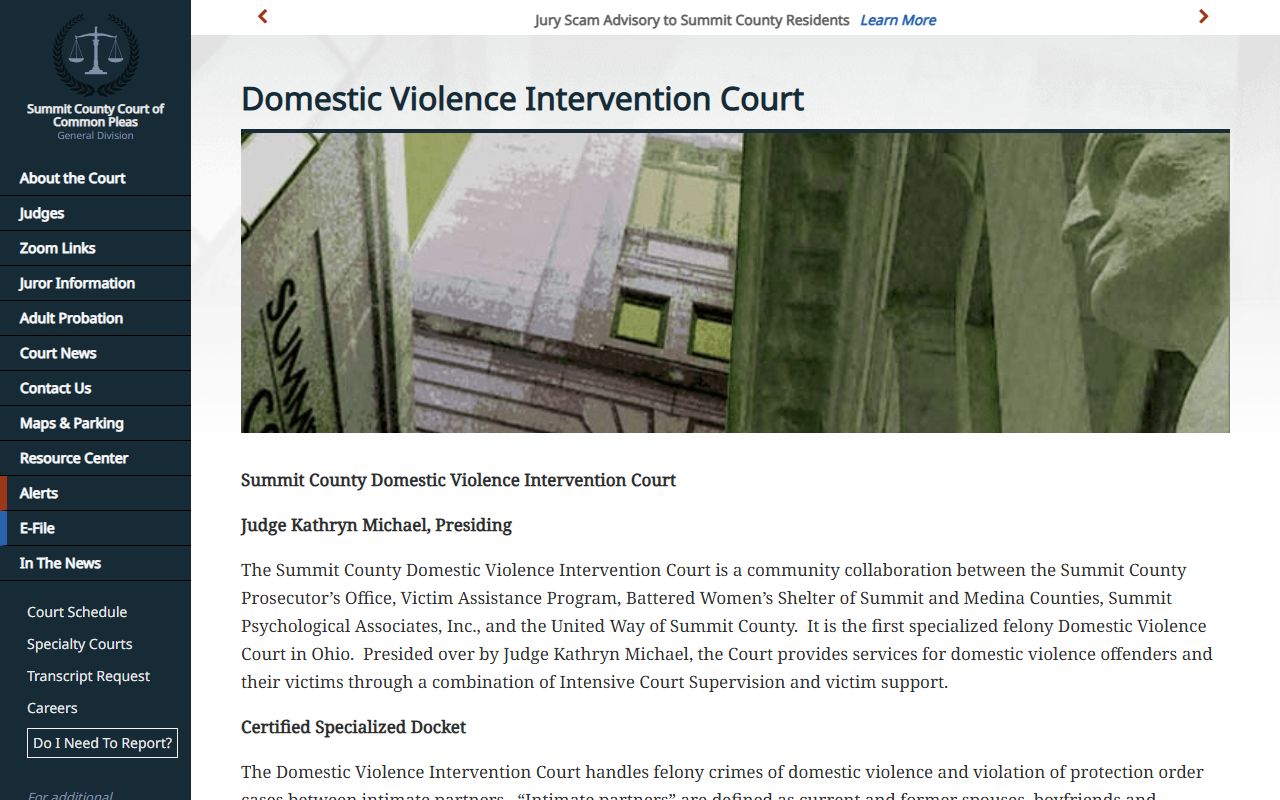 Summit County Domestic Violence Intervention Court docket and program page
